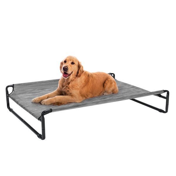 Tucker Murphy Pet™ Original Cooling Elevated Dog Bed, Outdoor Raised